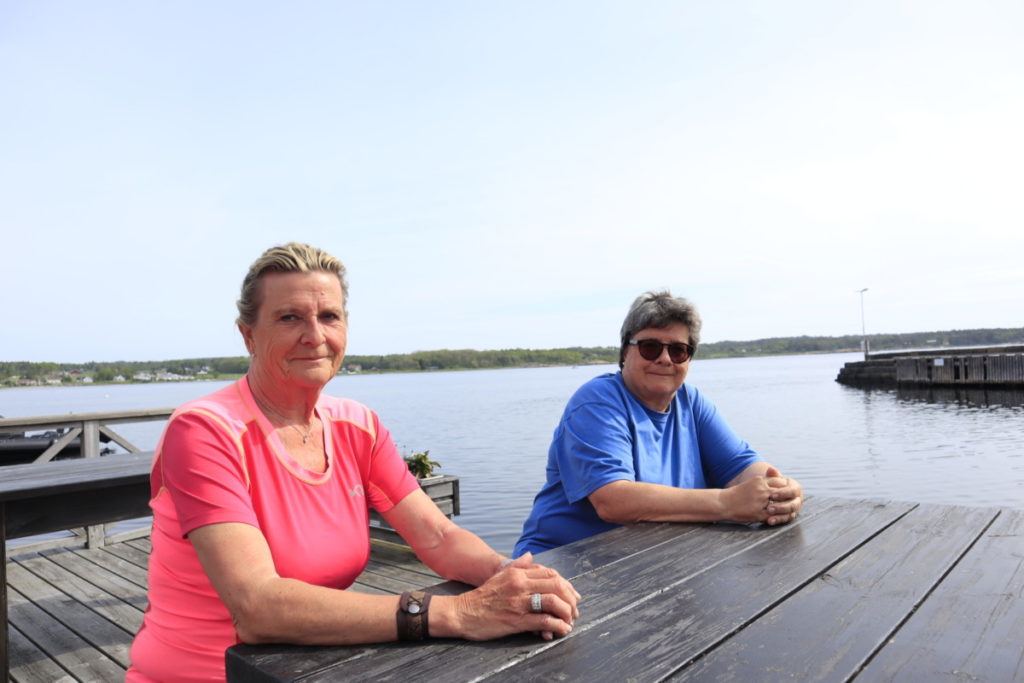 Havnadagen blir presentert av leder og sekretær