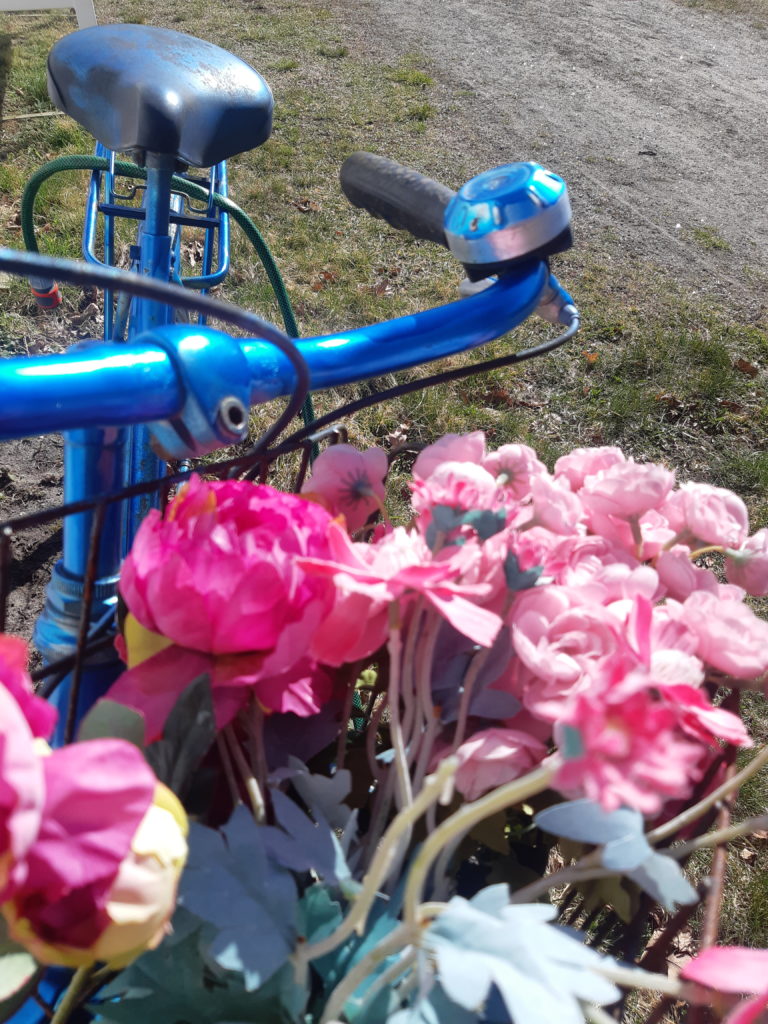 Den blå sykkelen pyntet med vakre blomster i Brunlanes