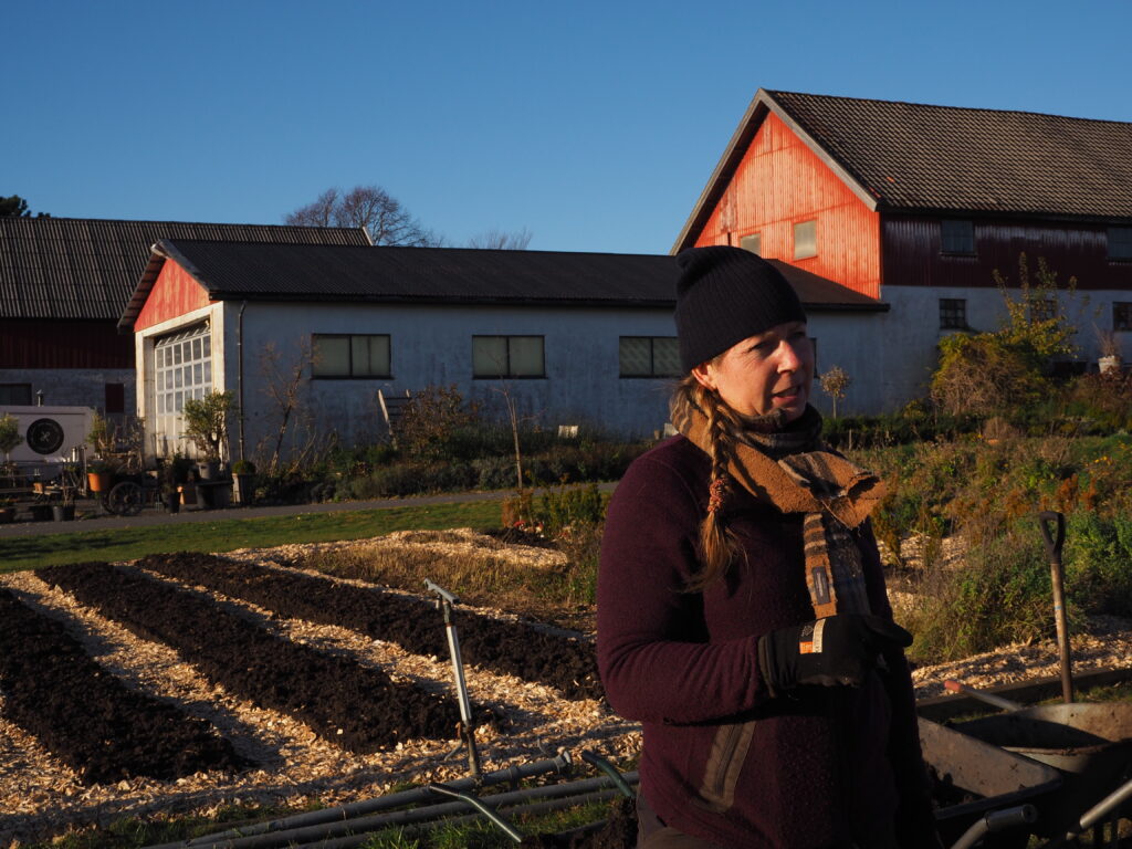 Camilla Anvik fra Brunlanes satser på tulipaner